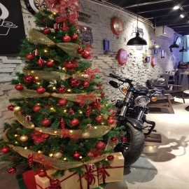 Cây Thông Xanh LÁ DÀY  1M50 CHÂN SẮT