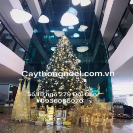 Cây thông 3 loại lá gắn trái thông  4m50