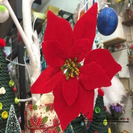 Hoa trạng nguyên treo cây thông