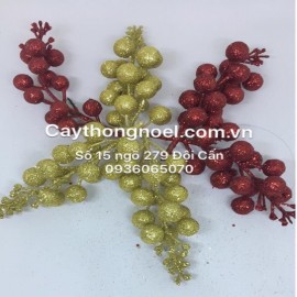 Cành quả nhũ cao cấp