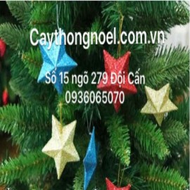 Sao trang trí cao cấp ( túi 4 chiếc )