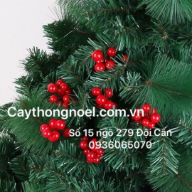 Chùm rượu treo cây  (túi 6 chùm)