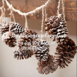 Quả thông treo cây (túi 9 quả)