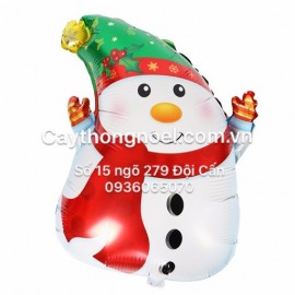 bóng hình người tuyết