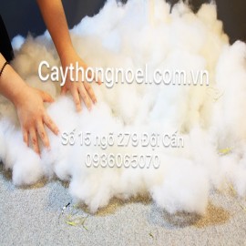 Bông phủ gốc cây